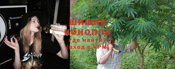 дживик Баксан