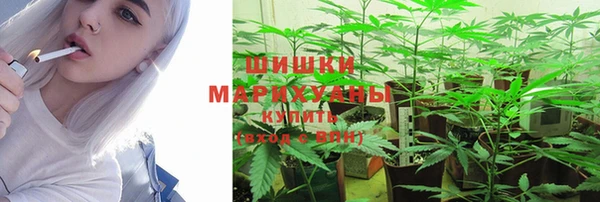 дживик Баксан
