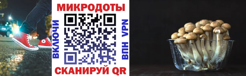 Псилоцибиновые грибы мицелий KRAKEN онион Вольск как найти