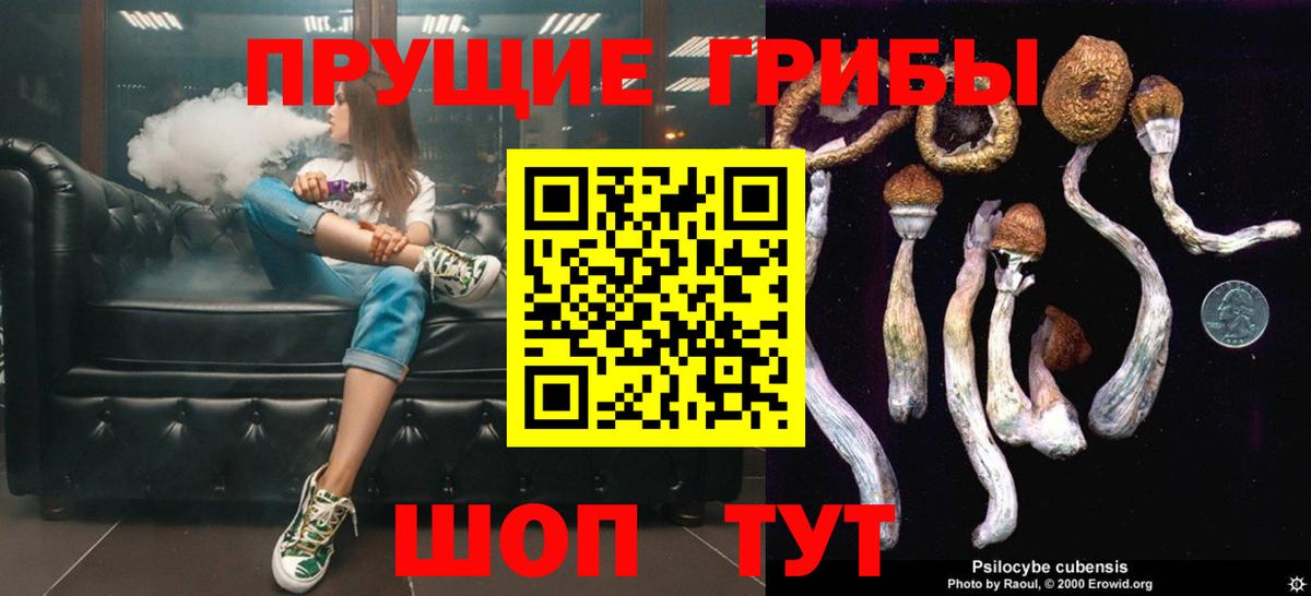 Галлюциногенные грибы Psilocybe  Вход с VPN  Псилоцибиновые грибы Magic Shrooms  Вольск 