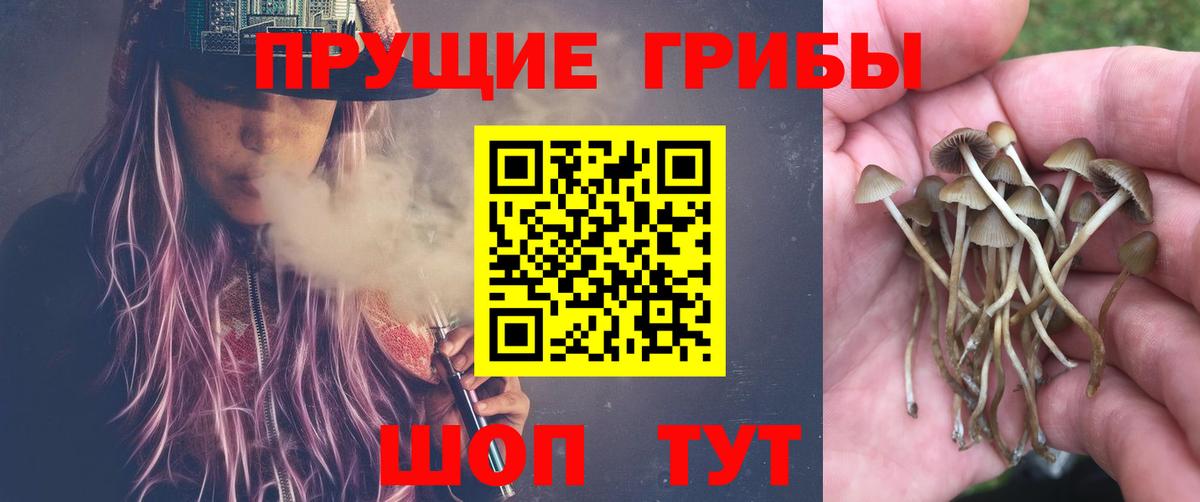 Галлюциногенные грибы Magic Shrooms Вольск